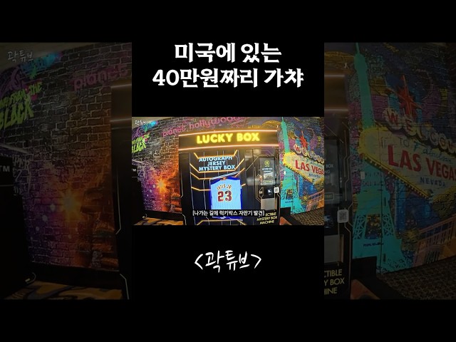 미국에 있는 40만원짜리 가챠