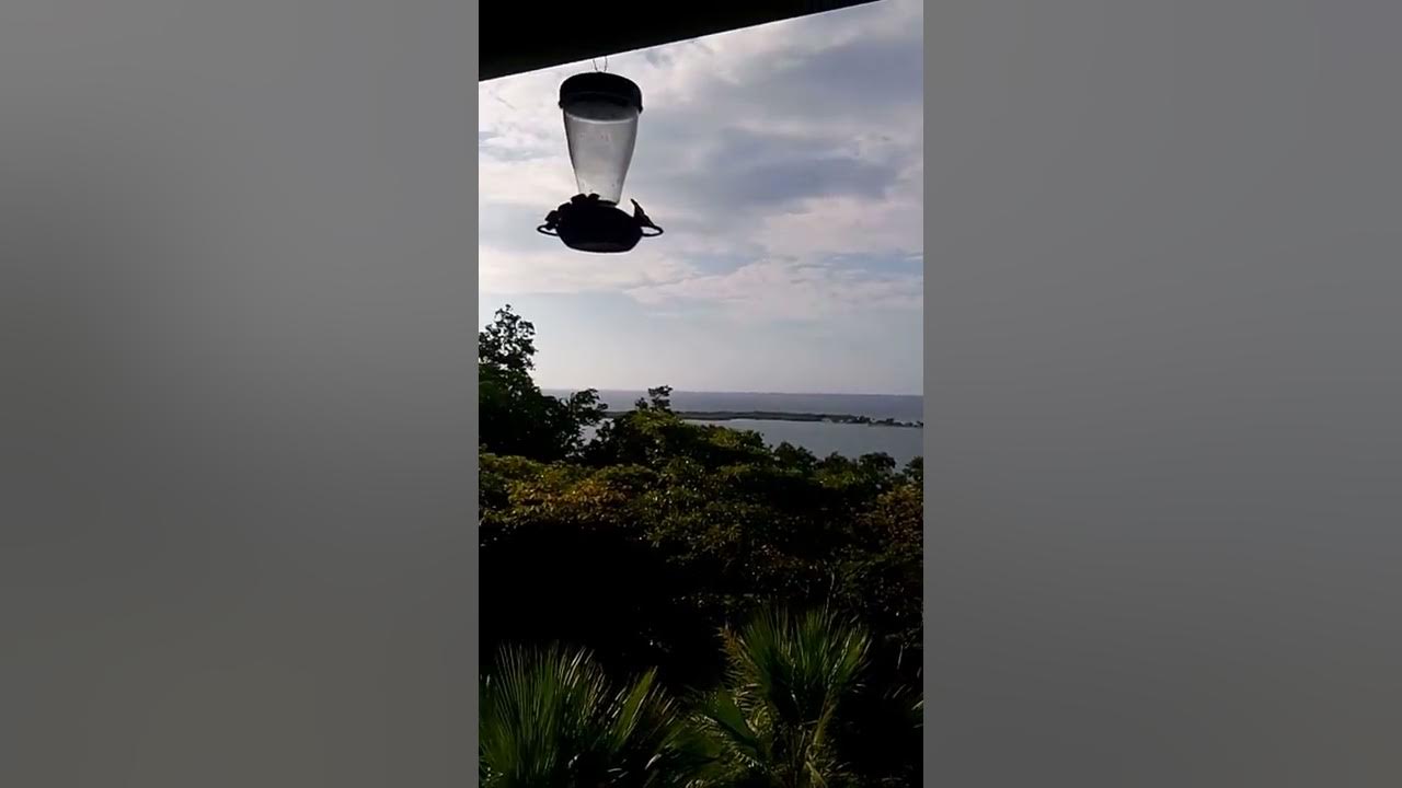 Buccaneer Hill House YouTube