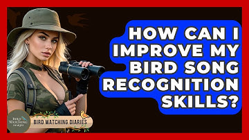 How Can I Improve My Bird Song Recognition Skills? - Bird Watching Diaries