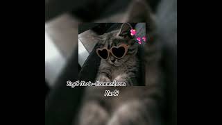 Ragib Narin - Uzunmakarna Harbi̇🪄💅🏻