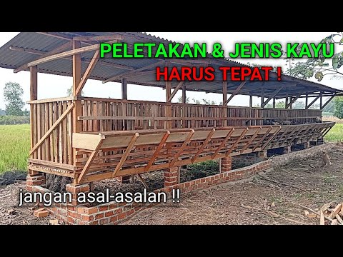 Buat Kambing