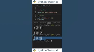 Filtering DataFrames With Missing Values | Python Tutorial