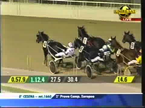 Campionato Europeo 2nd Heat 2010 -Looney Tunes