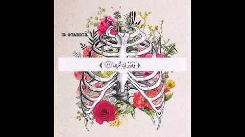 القارئ شريف مصطفى / قرآن / حالات واتس اب / أرح سمعك