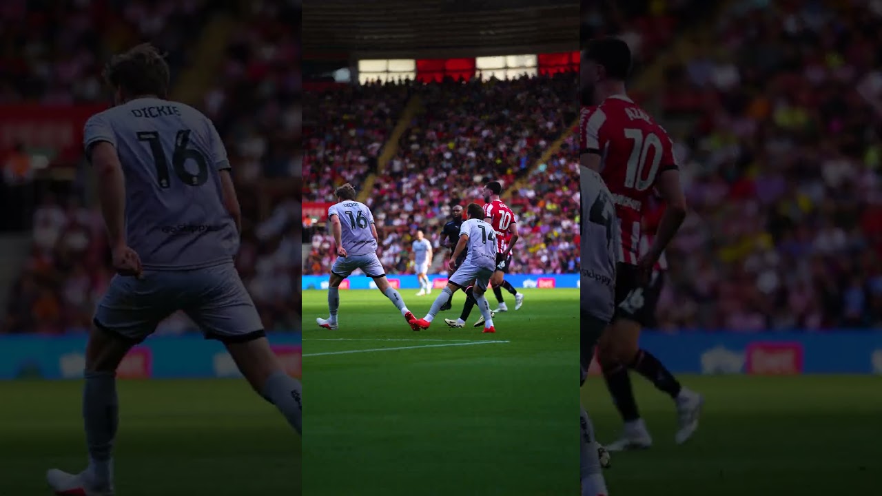 Bristol City (h): EVERY angle 🍿