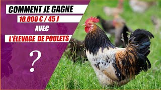 Comment Gagner 10 000€ en 45 jours avec l'élevage de poulets