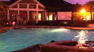 IMG 0192