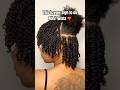 Mini Twists On Natural Hair | Natural Hairstyles| Protective Hairstyles for Type 4 Hair |Curly Hair