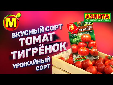 🍅 Урожайные Сорта