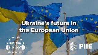 Ukraine's future in the European Union