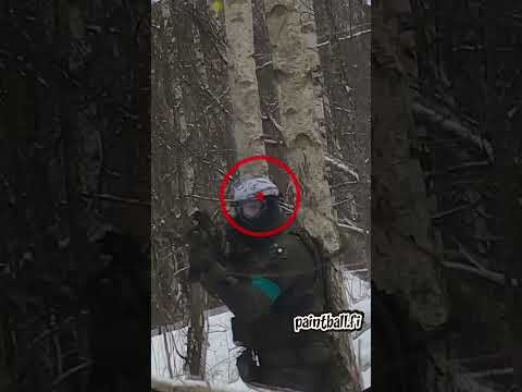Surprise Encounter - Magfed Paintball #shorts
