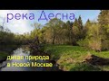 река Десна зимой и летом/// Нетронутая природа Новой Москвы