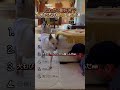 犬のバズった６選！