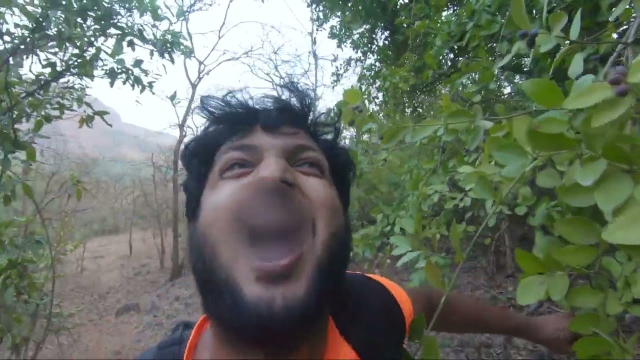 Rohidas Peak Trek | How to reach Rohidas Peak | Most OffBeat Trek