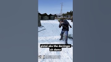 pretty sure that server reset saved my life #dayz #dayzcommunity #dayzgameplay #dayzpvp