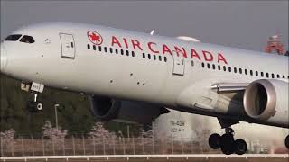 [allnippon86]エフトイズ中華航空エバー航空キャセイ航空 allnippon86]エフトイズ中華航空エバー航空キャセイ航空