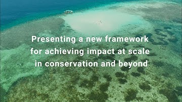 Teaser: A framework for achieving impact at scale