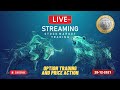 28 Dec Live Trading | Nifty Trading Today | Banknifty and stocks trading live | Option trading live