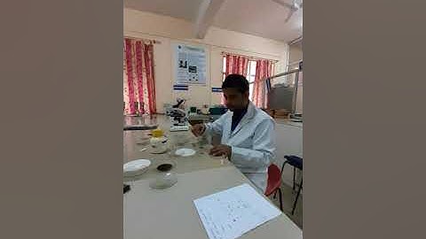 Methodology of morphology and microscopy of Cassia bark