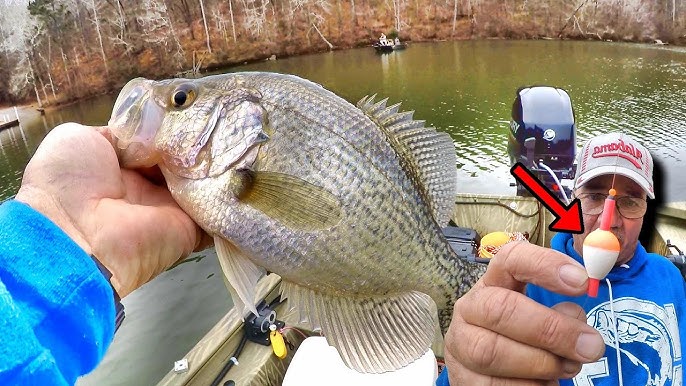 The BEST Technique for Slab Crappie (CATCH & COOK) 