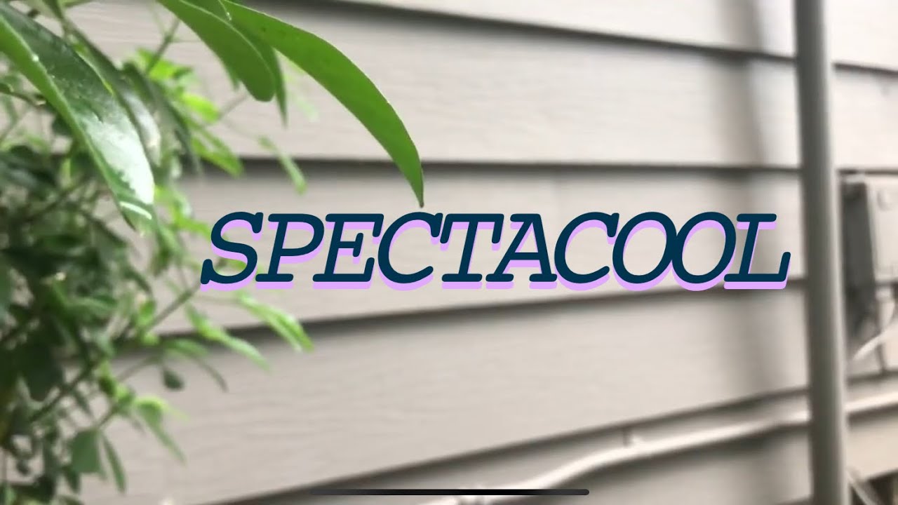Spectacool (Feat. Sam Samurai)