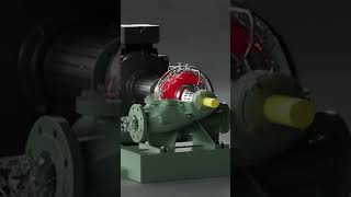Pompe Split Case - Serie SCC2