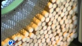 In Sickness & In Health: Great American Smoke Out