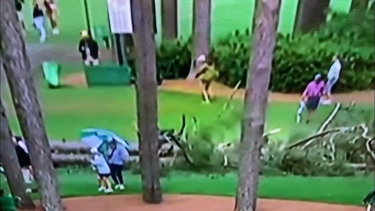 Tall Trees Near 17th Tee Box Fell During Masters Golf Tournament (2023