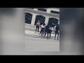 A brawl outside Shake Shack in Detroit involving up to a dozen young girls was caught on camera