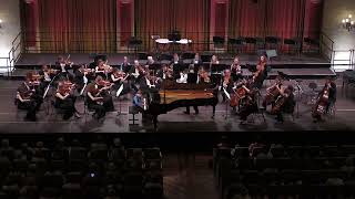Joseph Haydn - Piano concerto No. 11 in D major (Adam and Mate Balogh)