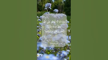 تلاوة خاشعة\\قارئ وديع اليمني\\سورة إبراهيم\\حالات واتس اب (وَمَا لَنَا أَلَّا نَتَوَكَّلَ على الله)