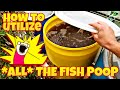 Unlocking HIDDEN POTENTIAL in fish waste!  Building a mineralization tank for aquaponics