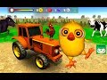 Juego del Pollito y el Tractor de Canciones de la Granja (Actualización)