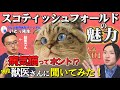 【スコティッシュフォールドの魅力】病気になりやすいはウソ!?現役ブリーダーが飼いやすさや飼育時の注意点も解説!