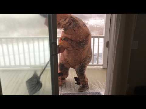 T-rex tries to go shovel snow in a blizzard (raw footage!)