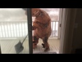 T-Rex Tries To Go Shovel Snow In A Blizzard