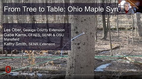 From Tree to Table: Ohio Maple Syrup
