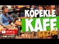 Köpekle Kafe Gezisi Nasıl Yapılır