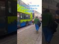 Mega queue of busses in Brighton