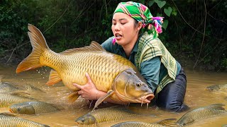 Download Lagu Catching a Giant School of Monster Carp and Catfish in an Abandoned Pond to Sell at the Market MP3 Download Lagu Catching a Giant School of Monster Carp and Catfish in an Abandoned Pond to Sell at the Market MP3