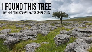 Day Hike & Photography - Yorkshire Dales/Ingleborough