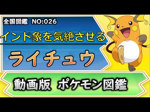 動画版ポケモン図鑑 インド象を気絶させるポケモン ライチュウ解説 026 ゆっくり解説 平日18時30分毎日投稿中 Youtube