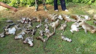 Flinstone porno Dunyodagi eng gozal qiz bilan porno video