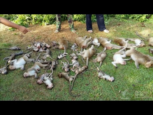 Dmitrovda jinsiy aloqa izlayapman Erkak kokrak uchini soradi