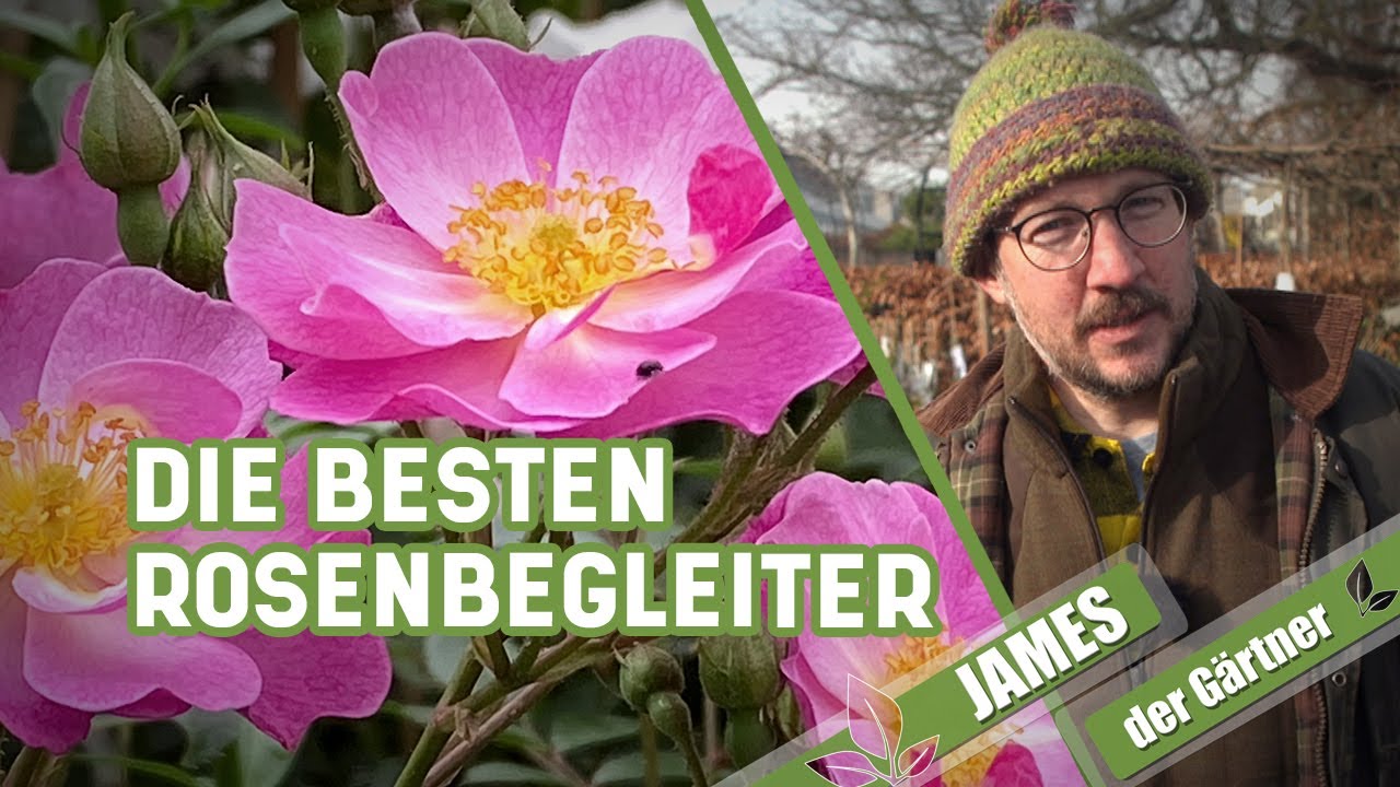 Wie gestaltet Brigitte Goss ihren Garten am Hang? | MDR