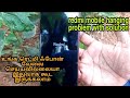 Redmi Mobile Show Logo Not Working Hanging Problem Solutions In Tamil 