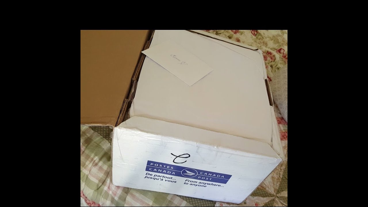 🌹REBORN BOX OPENING! SASKIA 💕  All the way from Canada 🌹