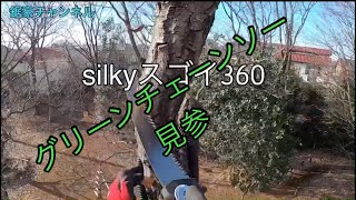 【鋸】グリーンチェーンソー/silkyスゴイ360