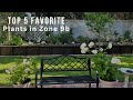 Top 5 Favorite Plants in Zone 9b