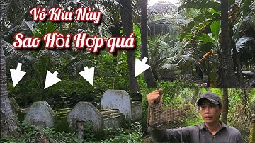 Bẫy Chuột Dừa Ở Khu Này Trúng Mánh Nè Mà Sao Đi Hồi Hợp Quá Cá Nhà Ơi | NI NGUYỄN TV 